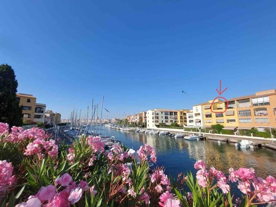Cap'Nomad Studio Cote Port - Terrasse - Piscine - Parking Agde Kültér fotó