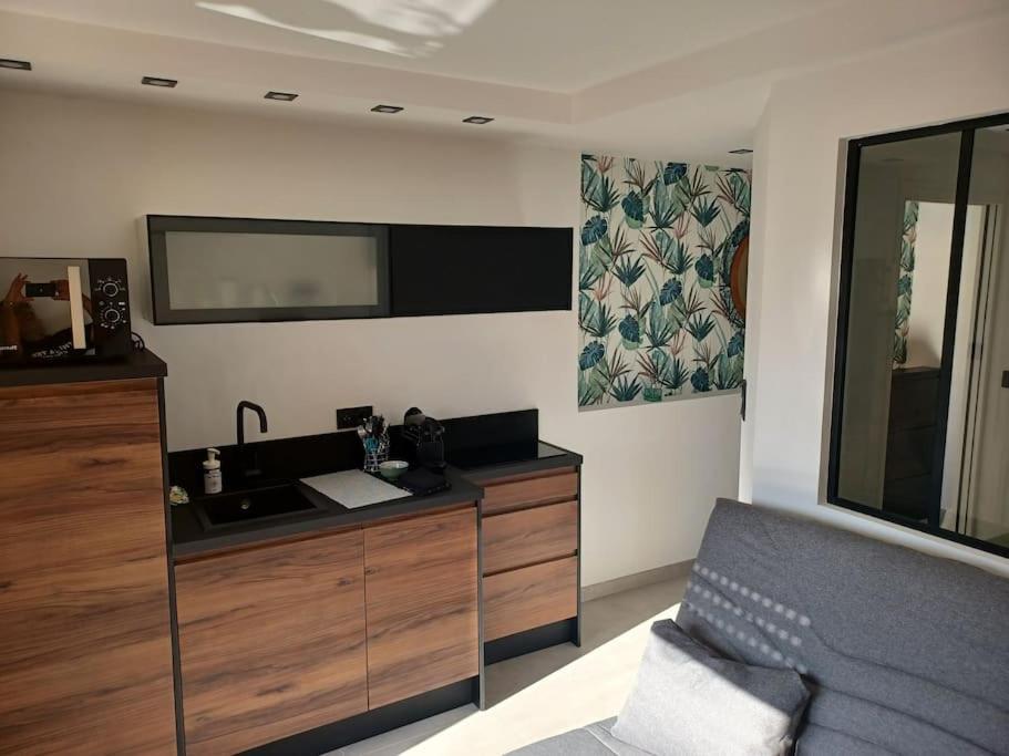 Cap'Nomad Studio Cote Port - Terrasse - Piscine - Parking Agde Kültér fotó